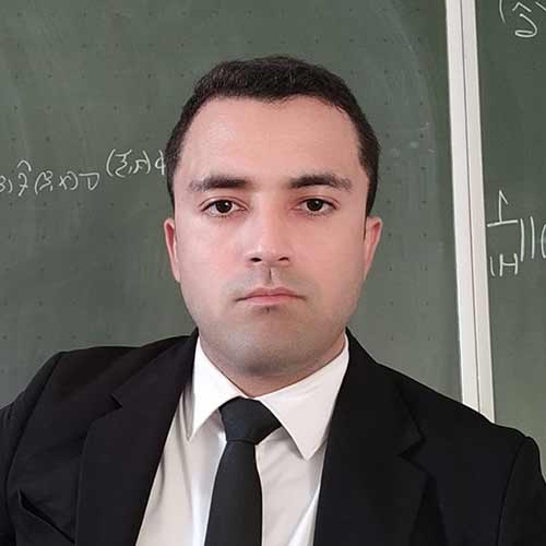 Prof. Dr. Duduchava, Ronald