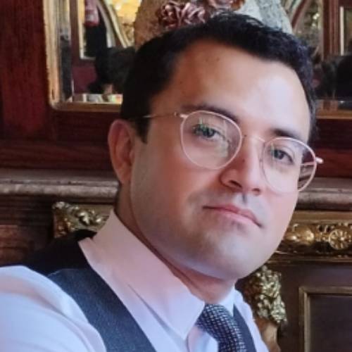 Prof. Dr. Duduchava, Ronald